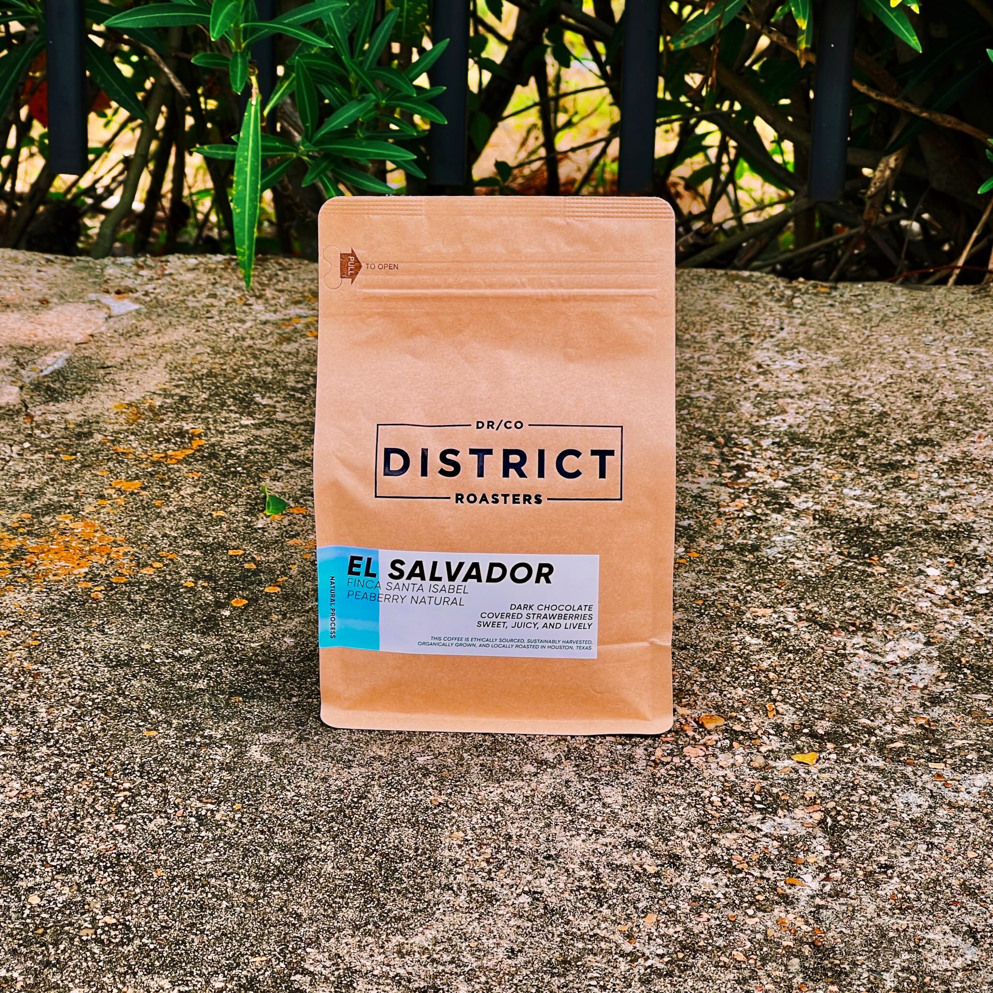 El Salvador | Peaberry Natural